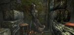 drunk huge_balls hyper_penis khajiit male the_elder_scrolls toilet_stall