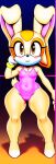 1girl ai_generated anthro barefoot blush bunny_ears cameltoe cream_the_rabbit cub furry furry_female gymnastics legs leotard looking_at_viewer novelai portrait sega short small_breasts smile sonic_the_hedgehog_(series) spandex thick_thighs wide_hips