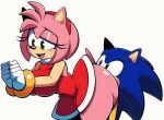  amy_rose fanart mobian sega sonic_the_hedgehog 