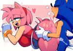  amy_rose fanart mobian sega sonic_the_hedgehog 