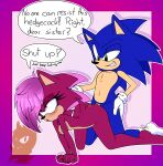  incest meyk sega sex sonia_the_hedgehog sonic_the_hedgehog 