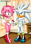 amy_rose bbmbbf diamond_level mobius_unleashed palcomix pietro's_secret_club sega silver_the_hedgehog sonic_the_hedgehog_(series)