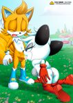 archie_comics barby_koala bbmbbf gold_level mobius_unleashed palcomix pietro's_secret_club sega skye_prower sonic_the_hedgehog_(series)