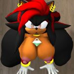  black_fur ctrl-z female_only massive_ass plumenjoyerse sega sega shadow_the_hedgehog 