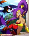 1boy 1girl ;d background big_breasts blue_eyes clothed clothed_sex hair_pull open_mouth ponytail purple_hair reit scarecrow sex sex_from_behind shantae shantae:_half-genie_hero shantae_(character) tagme torn_clothes vaginal_penetration watermark wink