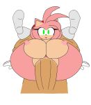 1boy 1girl amy_rose anthro_on_human ctrl-z furry furry_female furry_only human_on_anthro sega sonic_(series)