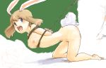may (pokemon) from pokemon