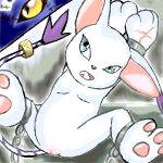 demidevimon digimon gatomon tagme