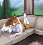  4_toes abluedeer breasts brown_fur canine clothed clothing dog female fur green_eyes half-dressed hindpaw legs_up lying on_front panties pawpads paws pinup plantigrade rough_collie skimpy soles solo toes topless underwear white_fur 