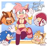  amy_rose anthro badger beach bikini black_bikini black_swimsuit echidna fox furry hedgehog knuckles_the_echidna miles_&quot;tails&quot;_prower red_bikini red_swimsuit sega senshion sonic_boom sonic_the_hedgehog sonic_the_hedgehog_(series) sticks_the_jungle_badger swimsuit tagme 