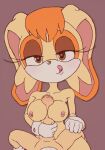 choco the rabbit from sega by anoningen