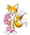  amy_rose fellatio meyk miles_&quot;tails&quot;_prower sega sonic_the_hedgehog_(series) 