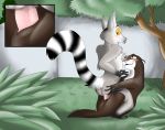  dreamworks furry genderswap interspecies king_julien marlene_(penguins) otter the_penguins_of_madagascar vaginal 