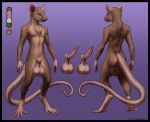 1_boy 1boy anthro ass balls big_balls erection huge_balls interstellarmachine long_tail male nude penis rat rodent smile solo tail