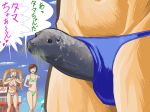 >_< 1boy 2girls beach bikini blonde_hair breasts brown_hair cleavage close-up closed_eyes cloud flat_chest hair joke laughing long_hair maldives multiple_girls original original_character outdoors outside penis pointing sea_lion seal sexually_suggestive short_hair sky smile speedo swim_briefs swimsuit tama-chan text translated twintails umbrella what