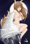 horo from spice and wolf