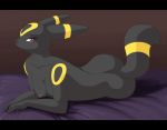 black_fur blacky_(pokemon) creatures_(company) dark_type_pokemon eeveelution furry game_freak gen_2_pokemon nintendo pokemon pokemon_(anime) pokemon_(creature) pokemon_(game) pokemon_(species) salvation tail umbreon