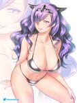  1girl 1girl 1girl alluring alternate_costume big_breasts bikini black_bikini black_swimsuit camilla camilla_(fire_emblem) cleavage collarbone etchimune female_only fire_emblem fire_emblem_fates grey_bikini grin hair_over_one_eye halterneck hand_on_own_knee long_hair looking_at_viewer navel nintendo purple_eyes purple_hair shiny shiny_hair smile swimsuit twitter_logo twitter_username very_long_hair 