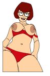 mystery_inc scooby-doo tagme velma_dinkley