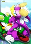 bandanna bbmbbf breasts cowgirl_position cum_in_pussy feet full_body jet_the_hawk mobius_unleashed palcomix riding sega shades soles sonic_(series) sonic_the_hedgehog_(series) wave_the_swallow