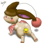 chocobo from final fantasy