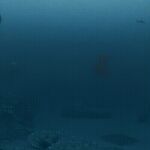 1girl animated animation breasts bubbles female gif nintendo nipples nude pokemon seafloor solo underwater zantzusui zeraora