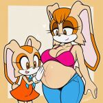 cream_the_rabbit mobian_(species) rabbit_girl sonic_the_hedgehog_(series) tagme vanilla_the_rabbit