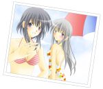 2_girls alluring bikini black_hair blush fire_emblem fire_emblem:_genealogy_of_the_holy_war grey_eyes grey_hair intelligent_systems julia_(fire_emblem) larcei_(fire_emblem) long_hair maturi_itijo nintendo photo_(object) purple_eyes short_hair swimsuit