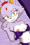1girl blaze_the_cat bra feline female sega small_breasts solo sonic_the_hedgehog_(series) sonicguru underwear undressing