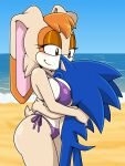 cream_the_rabbit mobian_(species) rabbit_girl sonic_the_hedgehog_(series) tagme vanilla_the_rabbit