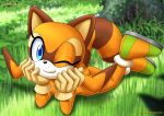 marine the raccoon from mobius unleashed by bbmbbf