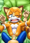 1boy 1girl anal anthro bbmbbf femsub fur furry hedgehog male maledom marine_the_raccoon mobius_unleashed nipples nude palcomix raccoon sega sonic_the_hedgehog sonic_the_hedgehog_(series) straight yiff