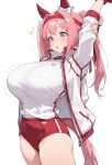  ai_generated arms_up bare_thighs gigantic_breasts gym_uniform haru_urara_(umamusume) horse_ears horse_girl horse_tail huge_breasts huge_thighs light-skinned_female light_skin massive_breasts pink_eyes pink_hair ponytail solo_female squatting stretching sweat sweatdrop thick_body thick_female thick_thighs thighs umamusume umamusume_pretty_derby voluptuous voluptuous_female yuyumiai 