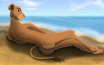1girl alpha_rain anthro anthrofied anus ass beach disney feline female lion looking_at_viewer lying mammal nala nude pussy sea seaside solo the_lion_king water