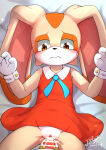 1boy 1girl censored cream_the_rabbit feith-zr female female_furry furry male rabbit sega sex sonic_the_hedgehog_(series)