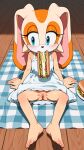1girl ai-generated ai_generated animal_ears blue_eyes blush bunny bunny_ears cream_the_rabbit cub dress female_focus floor food furry furry_female high_res legs no_panties pussy sega sitting sonic_(series) sonic_the_hedgehog_(series) spread_legs tablecloth white_dress wooden_floor