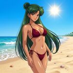  1girl 1girl adult_swim alluring beach big_breasts bikini bishoujo_senshi_sailor_moon bishoujo_senshi_sailor_moon_r bishoujo_senshi_sailor_moon_s bishoujo_senshi_sailor_moon_s_the_movie bishoujo_senshi_sailor_moon_supers bishoujo_senshi_sailor_moon_supers_the_movie black_and_green_hair blue_sky cleavage dario magenta_eyes ocean pin_up setsuna_meiou toei_animation toonami viz_media 