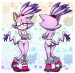 1girl blaze_the_cat cat demichan female modeling panties sega solo sonic_(series) sonic_rush underwear
