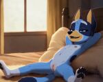  1girl ai-generated ai_assisted ai_generated animal_ears anthro anus arms_behind_head ass ass_up blue_eyes blue_fur bluey_(series) bluey_heeler cleft_of_venus completely_nude_female cub dog_ears dog_girl dog_humanoid dog_tail female_focus furry furry_female gif horny_female ludo_studio lying nala3333 navel nipples nude_female on_bed on_heat pillow pussy spread_pussy tail two-tone_hair 