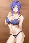 1girl 1girl 1girl alluring aslind_samure aslindsamure big_breasts blue_eyes blue_panties bra breasts cleavage female_only fire_emblem fire_emblem:_the_blazing_blade lingerie nintendo panties purple_eyes purple_hair smile underwear ursula_(fire_emblem)