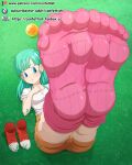  1girl blue_eyes bulma bulma_brief confettish dragon_ball dragon_ball_(classic) foot_focus green_hair long_hair medium_breasts medium_hair sexually_suggestive solo_focus 