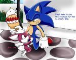 chip_(sonic) imminent_fellatio light_gaia riku sega sonic sonic_*(series) sonic_the_hedgehog sonic_the_hedgehog_(series) sonic_unleashed text yaoi