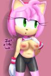  amy_rose mobian_(species) tagme 