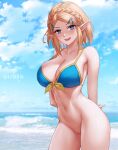  1girl alluring arms_behind_back azto_dio aztodio bare_legs bare_shoulders beach big_breasts bikini bikini_top_only blonde_hair blue_bikini blue_eyes blue_sky blush cleavage collarbone hair_ornament hairclip looking_at_viewer naked_from_the_waist_down navel nintendo ocean open_mouth parted_bangs pointy_ears princess_zelda pussy shore short_hair sidelocks sky smile swimsuit the_legend_of_zelda the_legend_of_zelda:_tears_of_the_kingdom thighs 