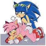  amy_rose cum_inside doggy_position furry sega senshion sonic_the_hedgehog sonic_the_hedgehog_(series) 