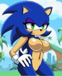 female_only furry_female gabviz sega sonic_the_hedgehog sonic_the_hedgehog_(series) sonika