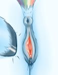 anatomically_correct anatomically_correct_genitalia anatomically_correct_pussy animal_genitalia animal_pussy anus ass bent_over blue_body blue_fur bodily_fluids butt close-up close_up digital_media_(artwork) equid equine equine_pussy fearingfun female feral friendship_is_magic fur genital_fluids genitals hasbro hi_res hooves horse mammal multicolored_tail my_little_pony nude pony presenting presenting_pussy puffy_anus pussy pussy_juice rainbow_dash rainbow_dash_(mlp) rainbow_tail solo spread_pussy spreading tail