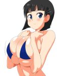 1girl big_breasts bikini bikini_top black_hair blue_bikini breasts_press breasts_together huge_breasts kirigaya_suguha short_hair sword_art_online