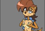 animated animated_gif black_nose blue_eyes breasts female furry gif lactating mammal milk nipples rodent sally_acorn sega sonic_(series) squeeze squirrel squirt trey_blaze wet