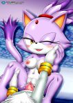 blaze the cat from mobius unleashed by bbmbbf